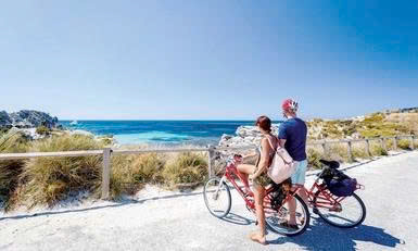 Tour ghép thăm quan Đảo Rottnest